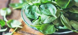 Potassium rich foods - Spinach
