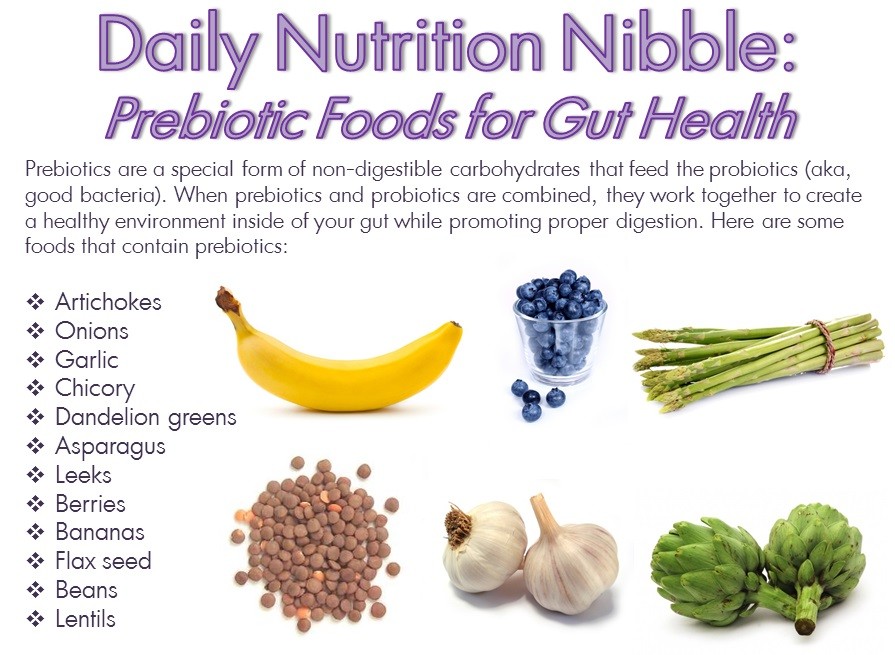 Prebiotics And Probiotics Foods