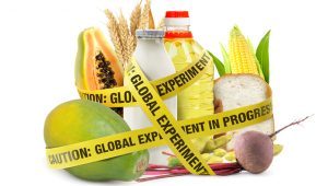 GMO foods
